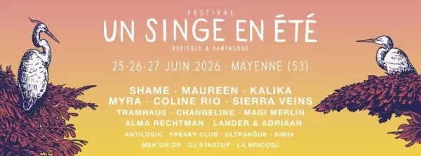 Un Singe en Été